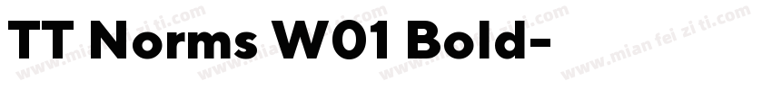 TT Norms W01 Bold字体转换